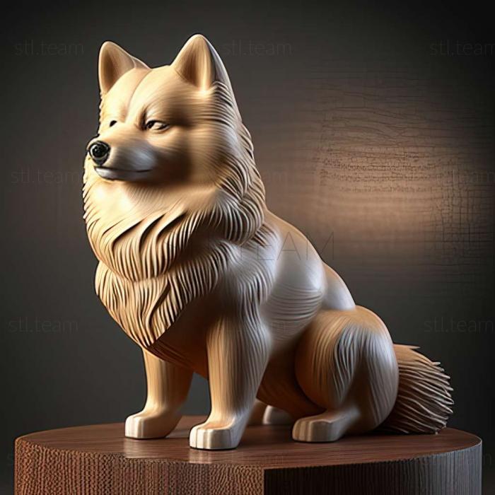 3D model Finnish Lapphund dog (STL)